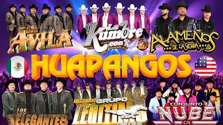 💫Huapangos Mix 2024👑Los Alamenos La Kumbre Con K Los Avila Elegantes Legitimo Conjunto Nube [upl. by Gabrila]