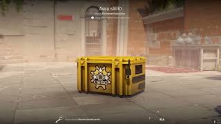 DAY 241 OPENING CS2 CASES UNTIL I GET GOLD [upl. by Snapp869]