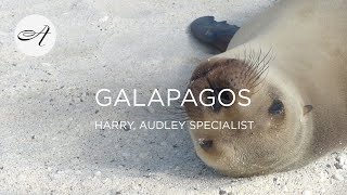 My travels in The Galapagos with Audley Travel [upl. by Tireb]