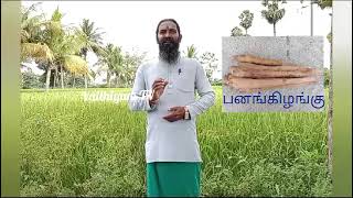 சீதபேதி இரத்த பேதிக்கு பாரம்பரிய சித்தவைத்தியம் Vaithiyam tv [upl. by Airasor]