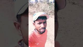 Jiyat नही bhojpuri song music love [upl. by Bonnell]