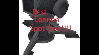 Best Cannon Spot On Runescape [upl. by Betsey430]