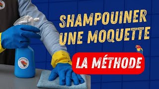 Comment shampouiner une moquette   ARA NETTOYAGE 🦜 [upl. by Nasas856]