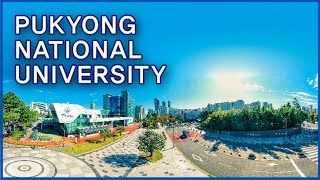 PUKYONG NATIONAL UNIVERSITY [upl. by Capello]