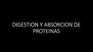 Digestion y Absorción de Proteínas [upl. by Hillery]