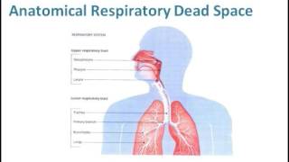 Vapotherm in the NICU  Clinical amp Financial Impact  A Webinar Presented by Dr Mike McQueen [upl. by Ibbob]