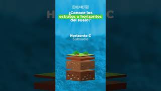 🌱 CONOCE LAS 6 HORIZONTES DEL SUELO [upl. by Dunham]