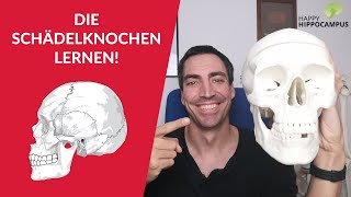 Anatomie Schädelknochen lernen und sich langfristig merken mit Hilfe der Schlüsselwortmethode [upl. by Vickie920]