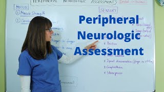 Peripheral Neurologic Assessment [upl. by Rehptsirhc]