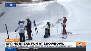 Visitors flock to Arizona Snowbowl for spring break [upl. by Adil347]