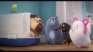 Comme Des Bêtes 2  Bande Annonce Officielle  Max [upl. by Ilagam]