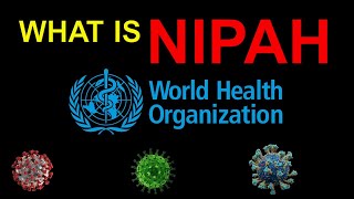 What is the Nipah virus and why is it so deadly [upl. by Asirac]