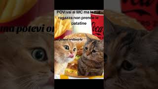 Gatto Mc Donalds shorts gatto cattomemes catmemes funny memescat memes mcdonalds [upl. by Lecroy]