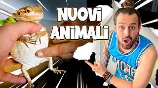 Mi Hanno Regalato degli ANIMALI di Nuovo [upl. by Nad]