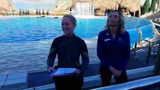 Orca behaviorist Kristi Burtis has been a valued SeaWorld ambassador for almost 30 Years [upl. by Basil57]