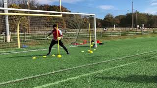 GOALKEEPER DRILL  HANDLING  FAST FEET  FOOTWORK [upl. by Polash]