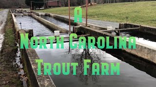 A North Carolina Trout Farm [upl. by Amyaj302]