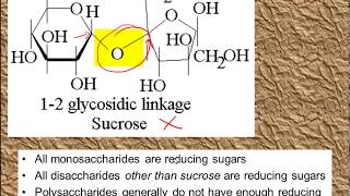 Monosaccharides and Disaccharides for ALevel Biology [upl. by Christoper]