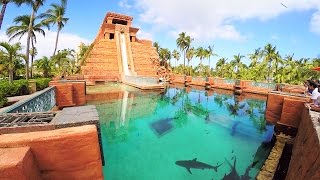 The Cove Atlantis Paradise Island Bahamas [upl. by Leeanne]