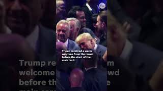 Donald Trump attends UFC 309 at Madison Square Garden Shorts [upl. by Yltneb]