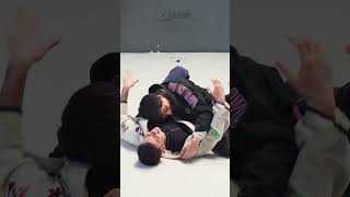 PELEO JIU JITSU SIN SABER NADA Entrevista jiujitsu parati [upl. by Adnawed]