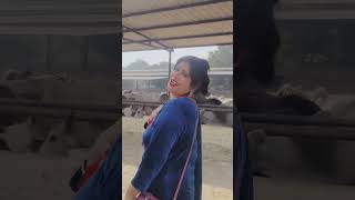 Ye gila hai aapki nigaho se ❤️‍🔥 virleshorts dance youtubeshorts bollywoodsongs [upl. by Eldin778]