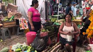 Tradicional PLAZA GRANDE en Santos Reyes Nopala 2023 [upl. by Ruyle211]