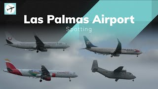 B789 A332 A321 B739ER A320 B738 A319 ATR72 C212  Las Palmas Airport  Spotting [upl. by Narag635]