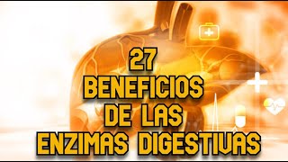 27 Beneficios de las Enzimas Digestivas [upl. by Nyraf380]