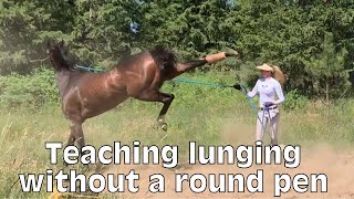 Lunging without a round pen Teaching your OTTB to lunge without a round pen [upl. by Alver]