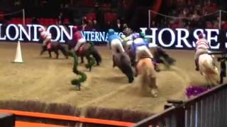 Shetland Pony Grand National 1st Heat [upl. by Wilser]