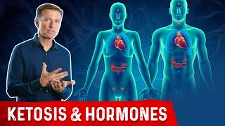 How Ketones Affect Hormones and the Endocrine System [upl. by Niwrehs6]