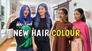 Hair Colour change krwa liya  Sab ka Reaction  Hira Faisal  Sistrology [upl. by Nyleahcim95]