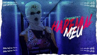 Tzigoiners  Haremul meu  Official Video [upl. by Yerffoeg]