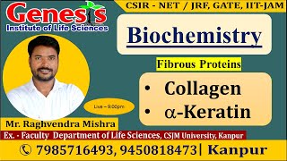 Collagen  Keratin  Biochemistry  New online quotBatchquot for CSIR NETJRF  IITJAM [upl. by Prasad611]