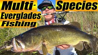 Multispecies EVERGLADES FISHING 2019  Spring Bass Open episode 2 [upl. by Schaab]