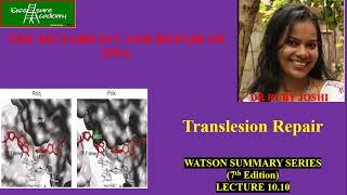 MUTABILITY AND REPAIR OF DNA Chap10 Lecture10 WatsonSummarySeries Translesion Repair system [upl. by Eelyme463]