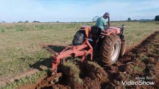 Trator Agrale 4200 lavrando com arado vira chapa de 2 bacias abertas [upl. by Sudnac]