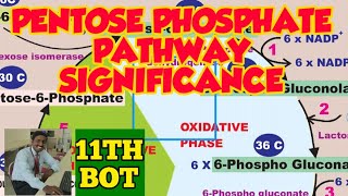 PENTOSE PHOSPHATE PATHWAY SIGNIFICANCE  TAMIL  PLANT PHYSIOLOGY  RESPIRATION IM PLANTS  STD 11 [upl. by Fleurette]