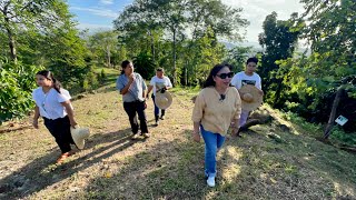 Naunang Nagtanim ng Agarwood  Malapit na Maging Money Maker  Philippine Native Trees [upl. by Anauqaj]