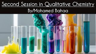 Second Session in Qualitative Analysis [upl. by Sirronal238]