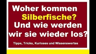 Woher kommen Silberfische und wie kann man sie loswerden bekämpfen Ursache Tipps [upl. by Bully]