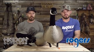 Higdon Apex Canada Goose Decoys [upl. by Ytsrik]