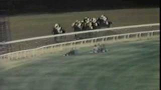 Seattle Slew  The 1977 Belmont Stakes [upl. by Ocimad]