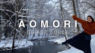 AOMORI ・TOHOKU🇯🇵 Oirase Gorge in Winter❄️ Stay at Oirase Keiryu Hotel Japan travel vlog [upl. by Ainoloppa]