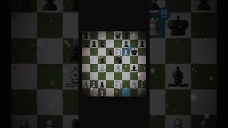 Queen Rook brilliancy chess [upl. by Ronacin]