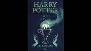 Harry Potter e o Cálice de Fogo parte 3  AudioBook AudioLivro [upl. by Eldnar]