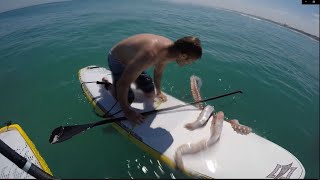 GIGANT SQUID Attacks Surfer 🐙 [upl. by Eicaj]