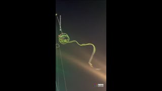 Horrifying moment “Slingshot” ride snaps with passengers inside [upl. by Terza20]