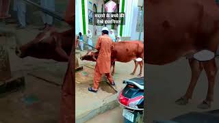 Madarse ke bache ki Dekhe insaniyat islamik viralvideo fbreelsviral [upl. by Mullen]